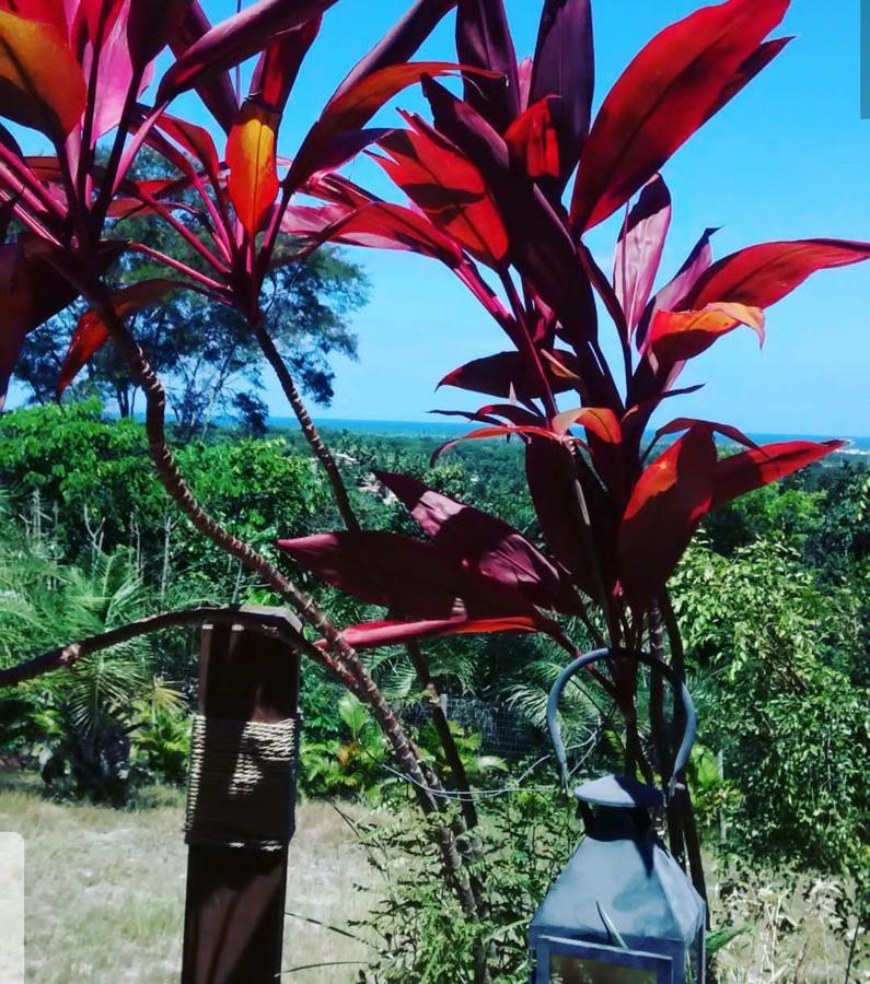 Chalé Oasis Praia do Forte Esterno foto